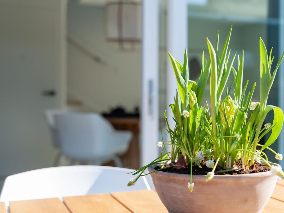 Cosy Holiday Home In Oostkapelle With A Garden Eksteriør bilde